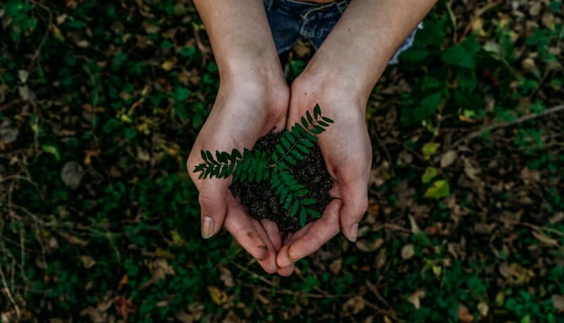 Turismo Sustentável: Como Viajar com Consciência